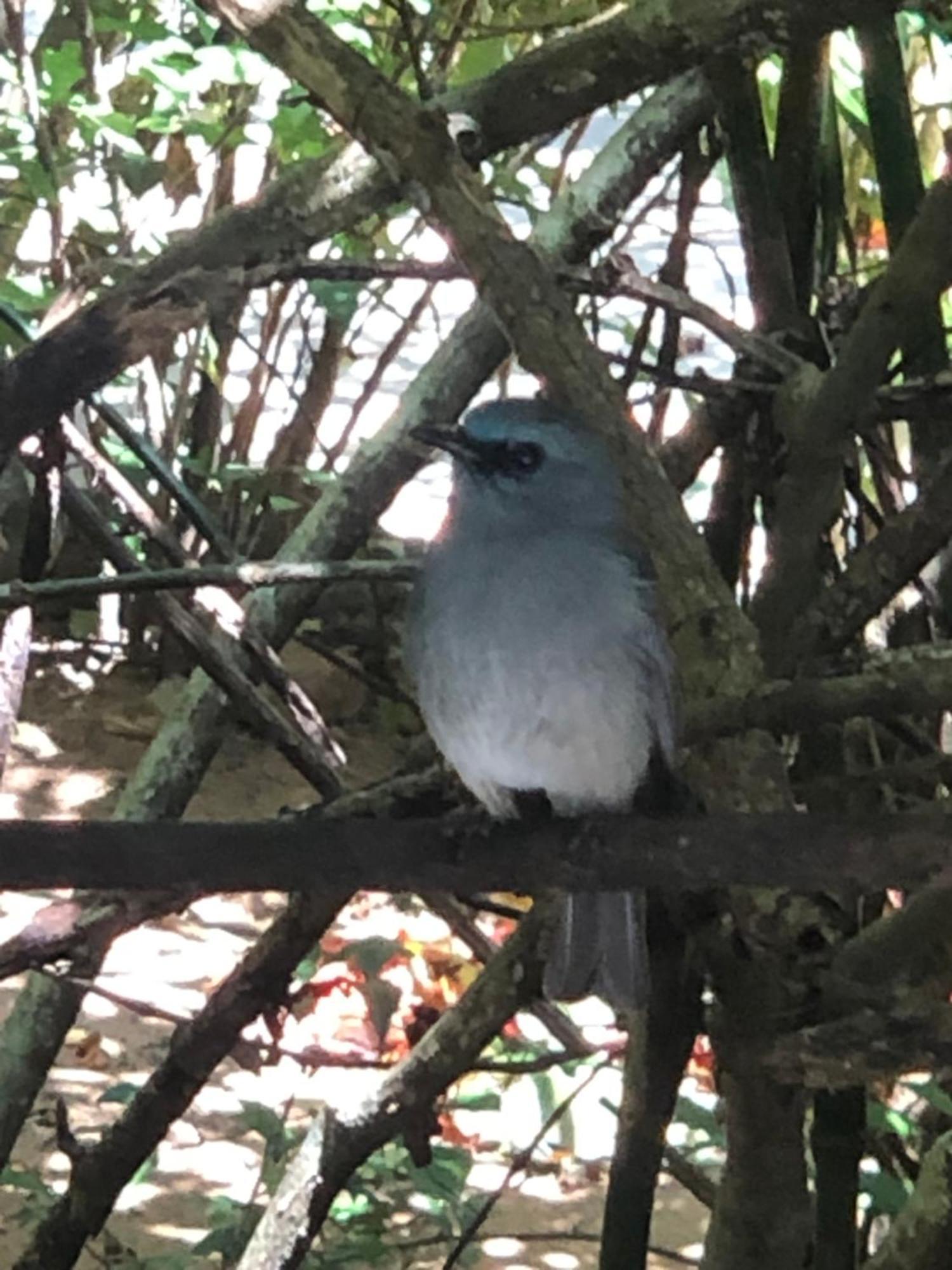 Surrey Bird Sanctuary & Holiday Resort Welimada 外观 照片