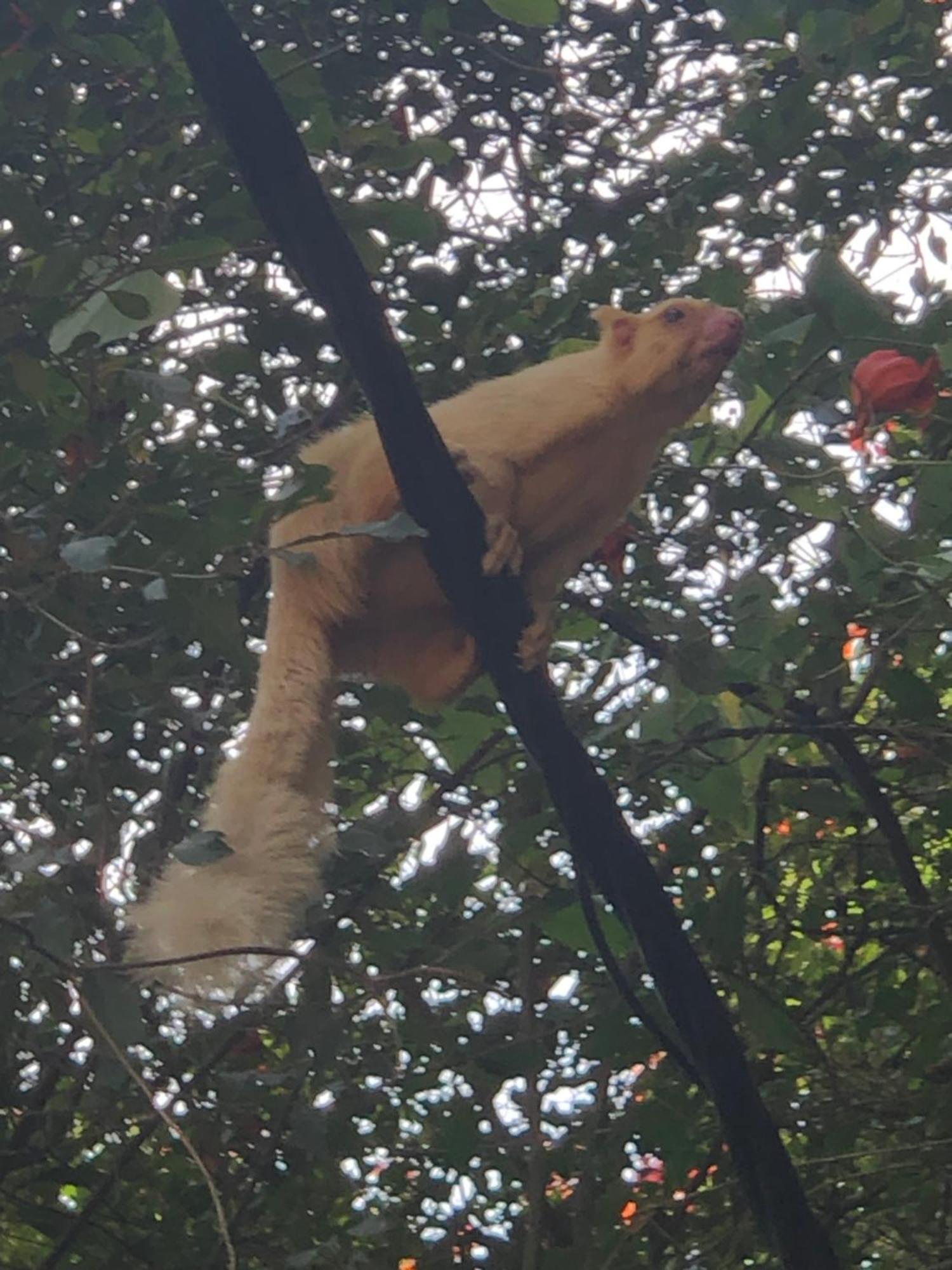 Surrey Bird Sanctuary & Holiday Resort Welimada 外观 照片