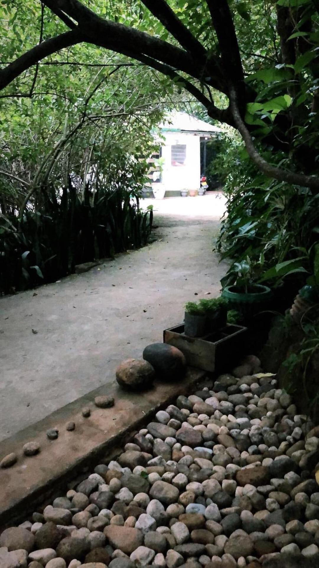 Surrey Bird Sanctuary & Holiday Resort Welimada 外观 照片
