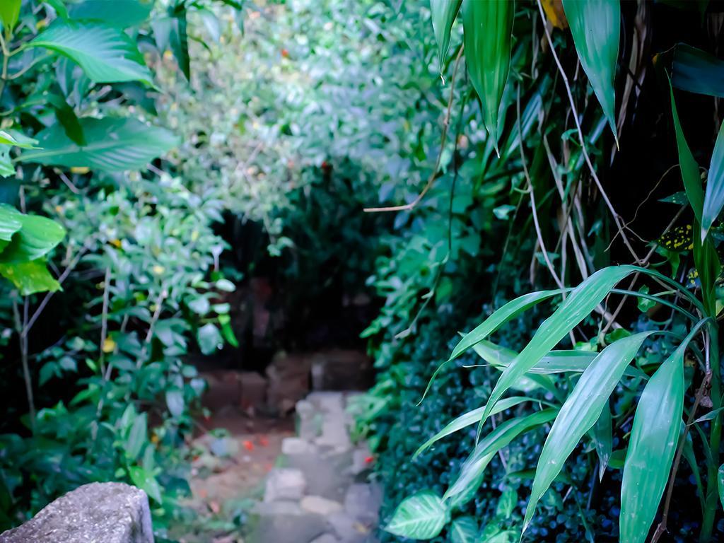 Surrey Bird Sanctuary & Holiday Resort Welimada 外观 照片