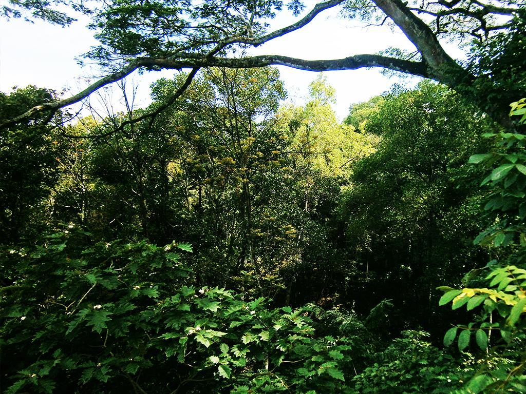 Surrey Bird Sanctuary & Holiday Resort Welimada 外观 照片