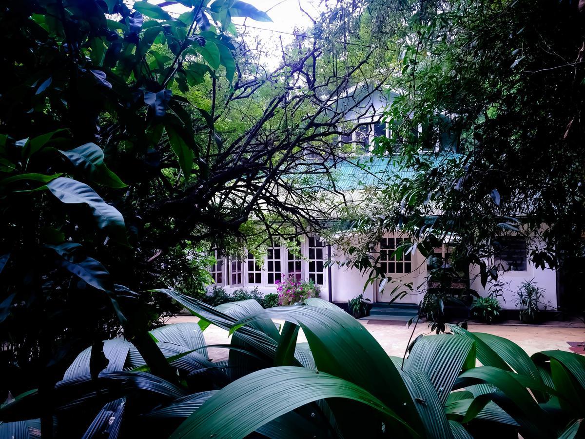 Surrey Bird Sanctuary & Holiday Resort Welimada 外观 照片