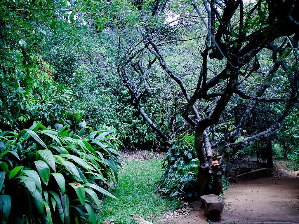Surrey Bird Sanctuary & Holiday Resort Welimada 外观 照片